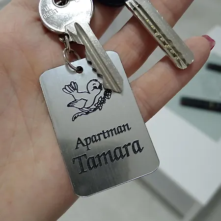 Tamara Apartman Popadic