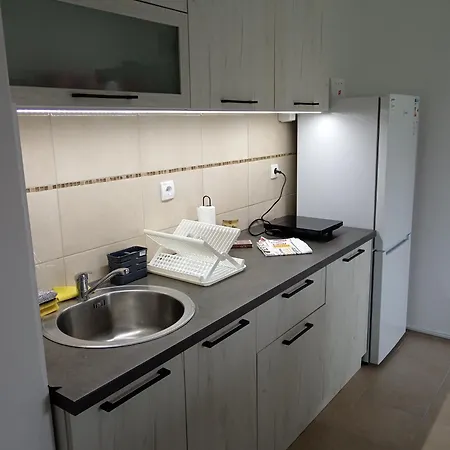 Tamara Apartman Popadic