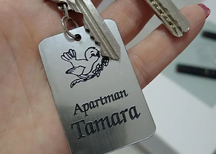 Tamara Apartament Popadic